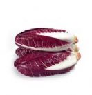 cella4