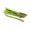 asparagi