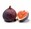 fichi