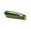 zucchine